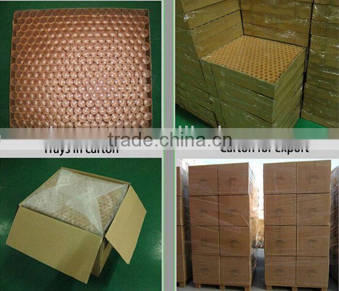 CUSTOM COLOR PET PLASTIC BOTTLE WITH FOAM PUMP, 300ML 600ML PET BOTTLE WITH FOAM PUMP