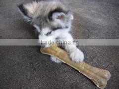 dog chews stick dog snack food dog chews food production machine