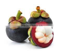 Organic Fresh Mangosteen From Thailand