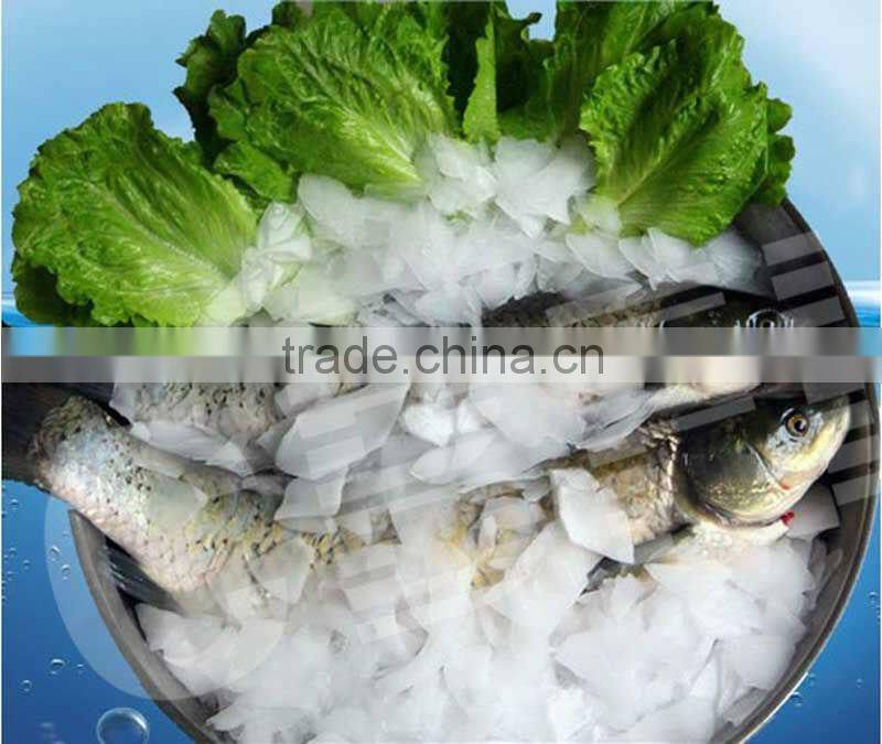 Guam flake ice making machine with flake ice bin for cooling