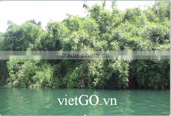 Eco-friendly perfect for BBQ Bamboo Skewer from Vietnam