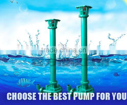 JT-7.5 Vertical Fecal sludge septic tank manure mud sewage pump