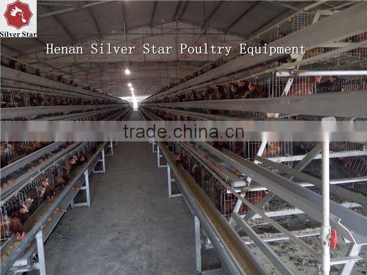 3 tier design A type ladder layer cages for chickens with scarpper manure removal system