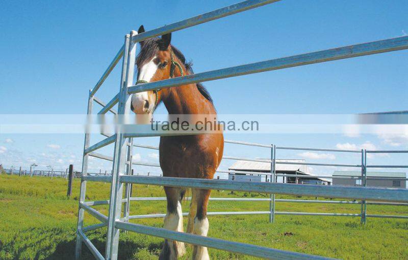 China high quality cattle panels / Cattle yards / livestock corral panel/hot sale