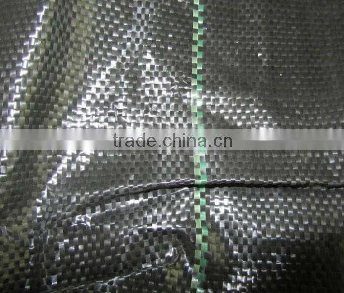 Black Ground Cover,Weed Control Fabric Popular 100GSM,2M*100M