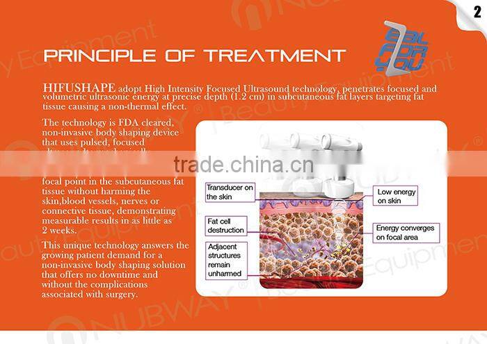 2015 newest high intensity focused ultrsound slimming HIFUSHAPE Hifu