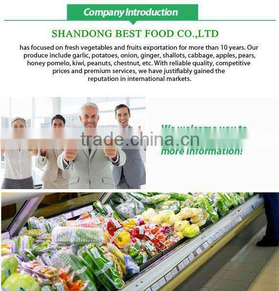 New crop fresh navel orange from Best Food