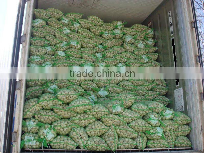 Fresh white garlic price