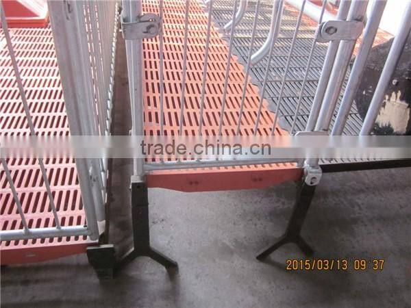 Pig Breeding Equipment/pig farming equipment/equipment for pig/piglet equipment