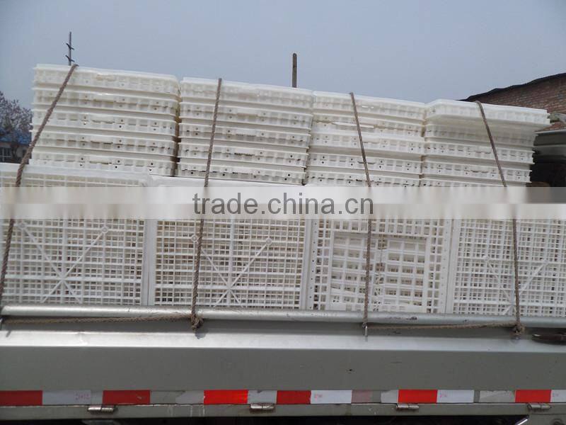 solid plastic cock cage