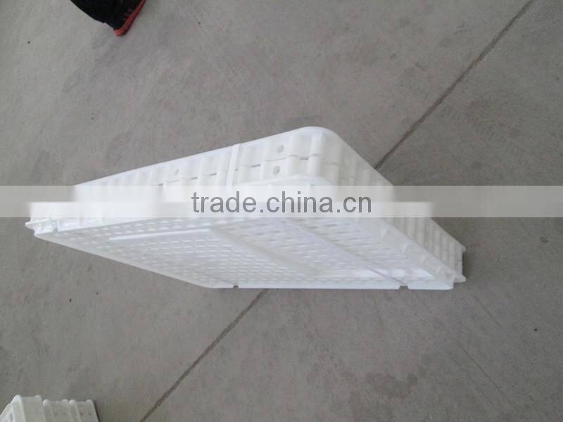 chicken transport trays