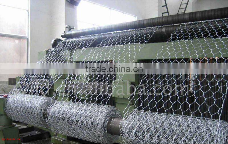 PVC Coated/Galvanized Heavy Hexagonal Gabion Mesh