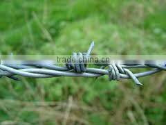 galanized barbed fence(factory)