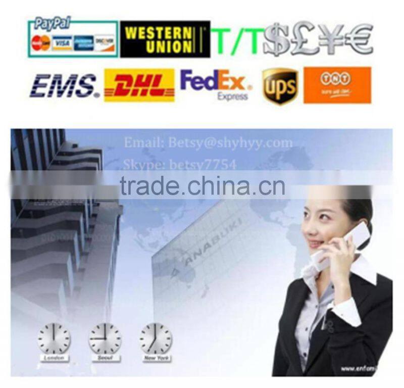 Top Grade 20L Electric Thermostatic Vacuum Drying Oven/Laboratory Oven