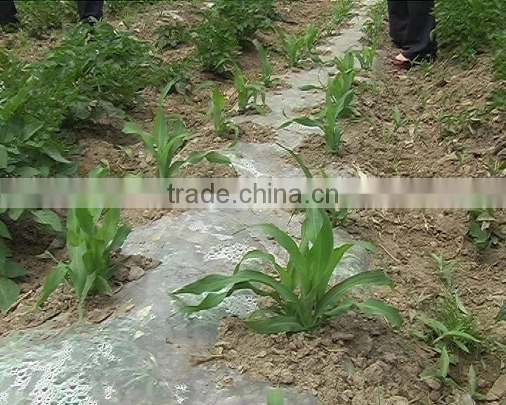 low Tunnel agriculture Film