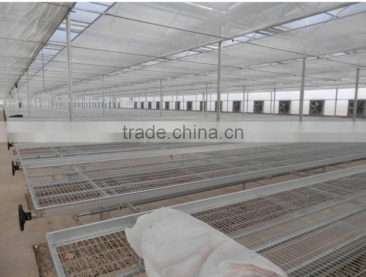 China market Movable Seedbed Bed For Agricultural Greenhouse