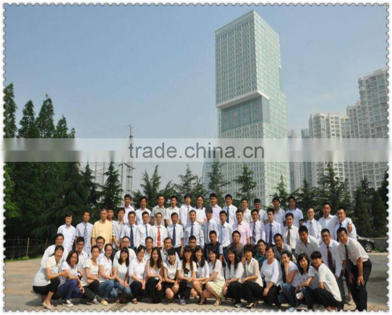 Quick installation luxury light steel structure villa