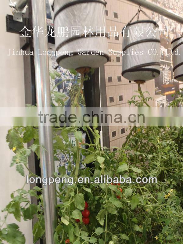Hanging In The Air Pop Up Grow Bag For Tomato