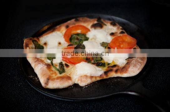 WS-FP14 pre-seasoned cast-iron skillet, 9.85-inch