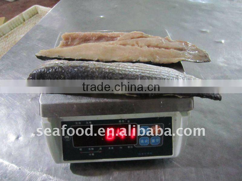 IQF frozen grey mullet fillets skin-on without scale