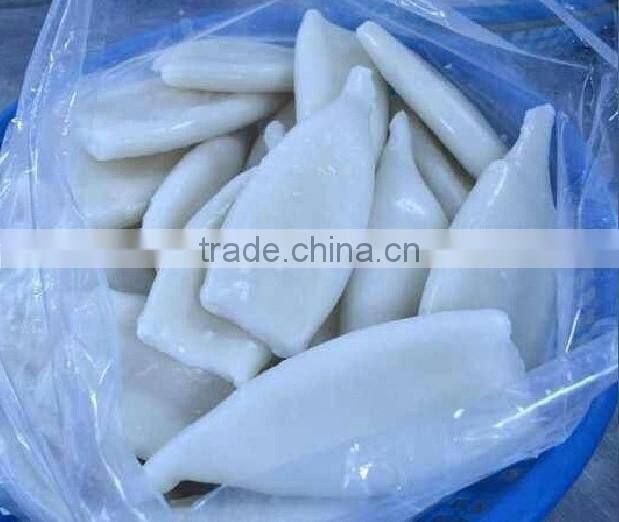 Frozen Squid Tube U5 U7 U10 IQF
