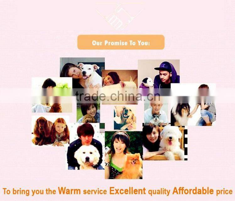 Pet Scissors For Pet Groomer