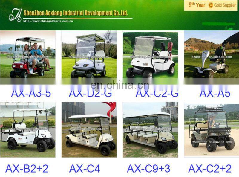 Curtis controller mini 2 seater golf cart