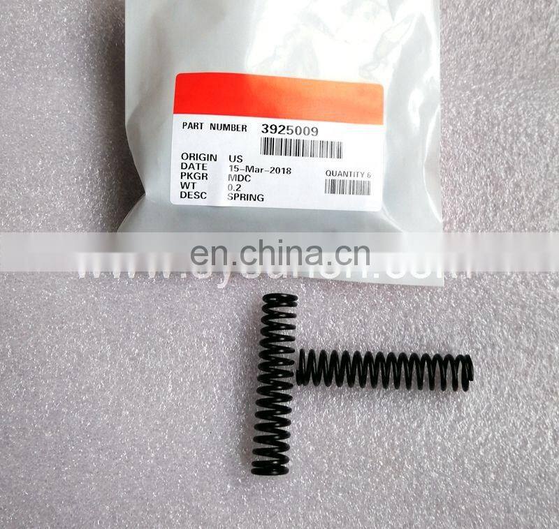 Chinese supplier diesel engine spare part spring 3925009 in stock