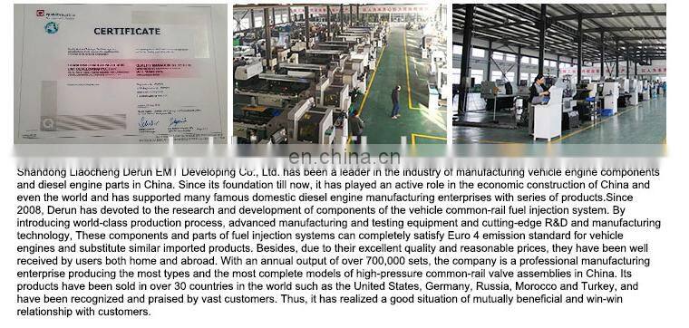 Injector Orifice Plate Injector Control Valve for Injector095000-0231