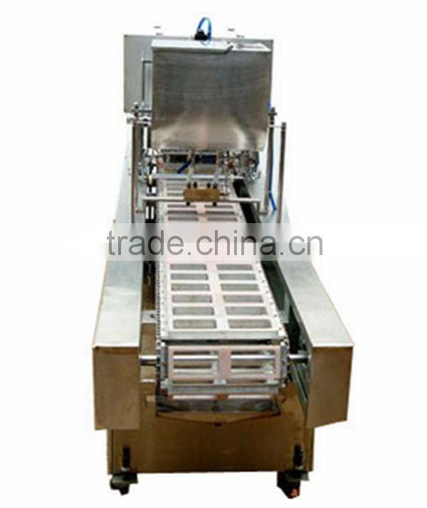 automatic plastic case filling and sealing machine