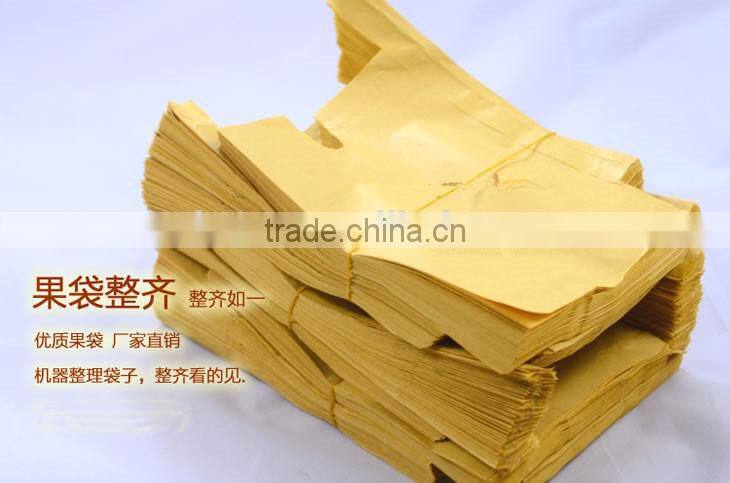 Fruit cover peach bag/kiwi fruit bag/mango bag