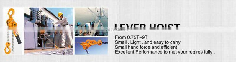 Construction Chain Winch/Chain Fall Hoist/Manual Chain Hoist