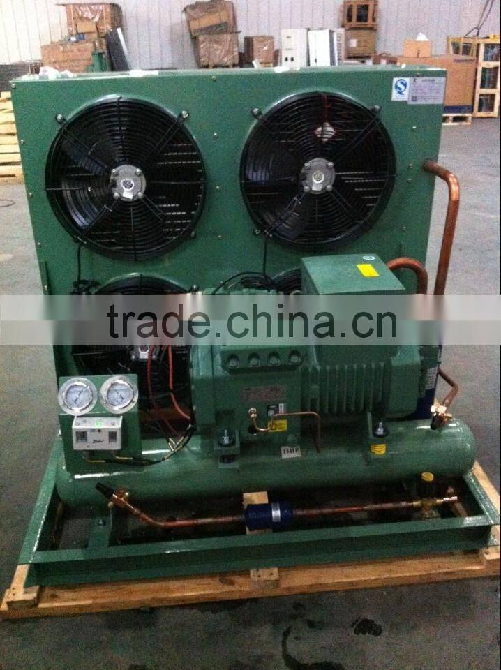 9HP semi-hermetic meat refrigeration equipment made by RUIXUE