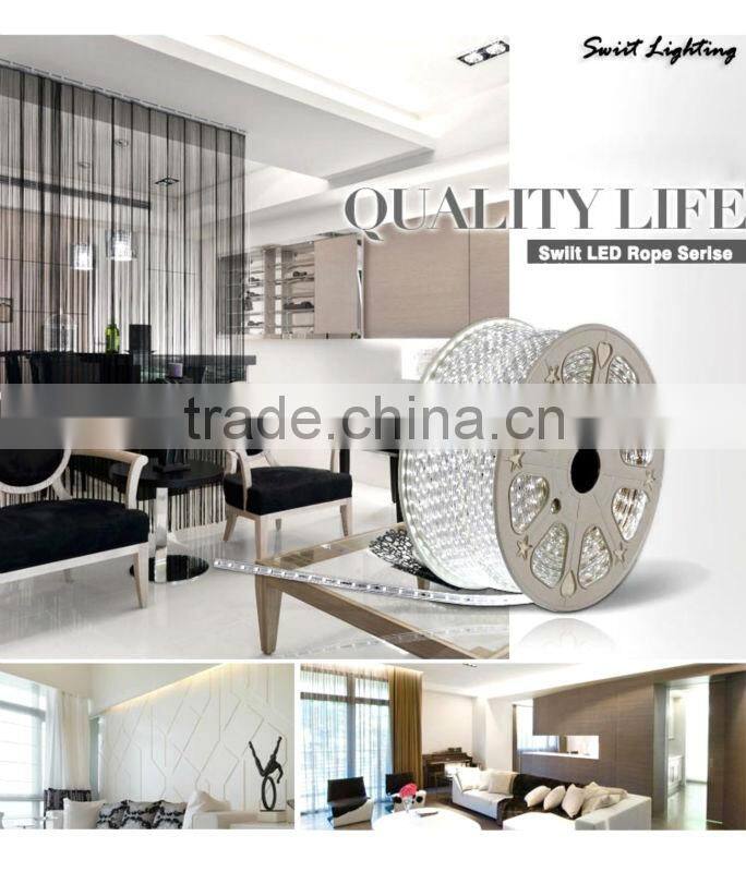 Hot Sale Waterproof IP65 220V/110V LED Strip RGB CE&RoHs Approved