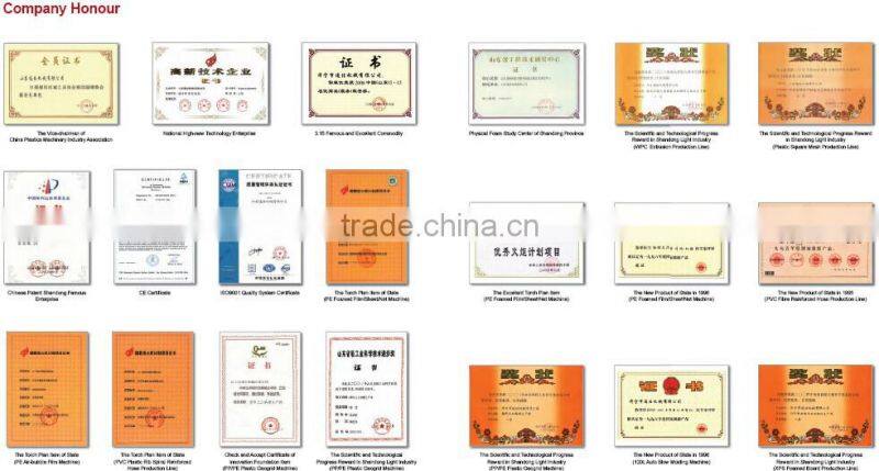 Plastic Blow Molding Machine