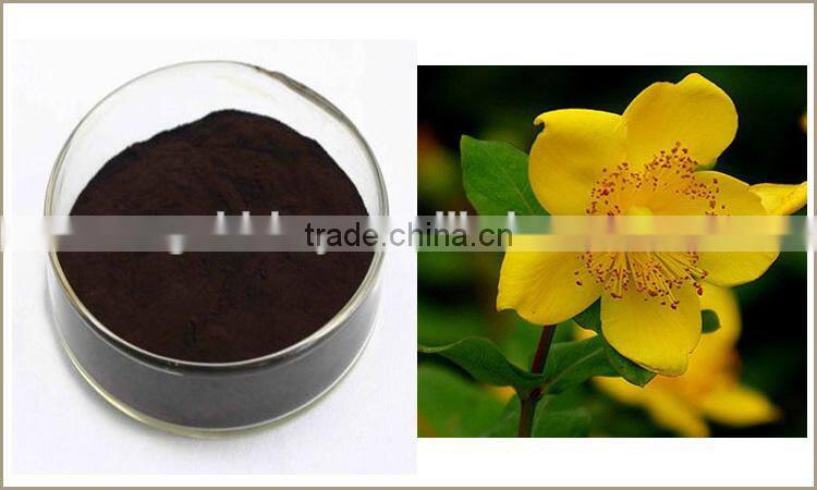 Hypericum Perforatum Extract, St.John's Wort Extract Powder