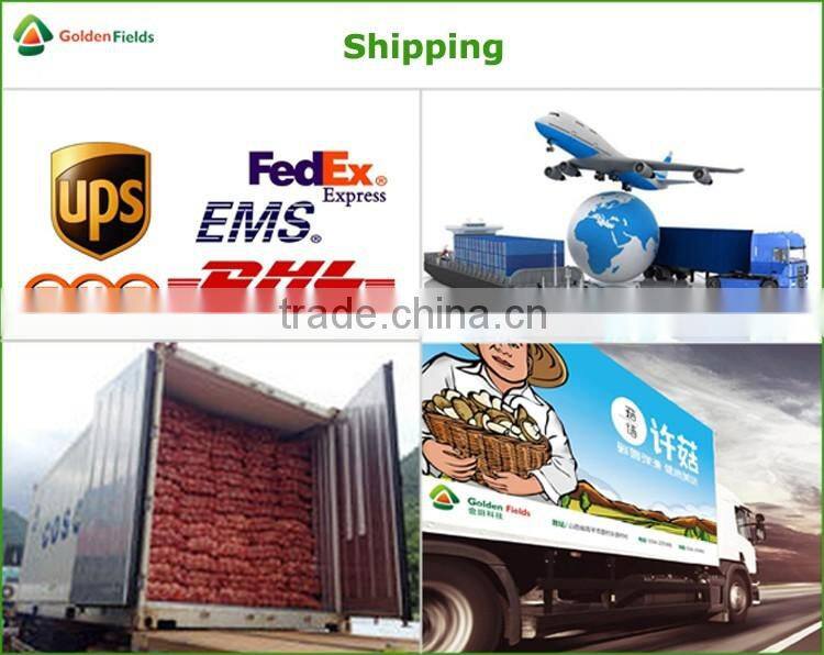 Black Chinese Mushrooms,Shitake Mushrooms Health Benefits,Growing Shitake Mushrooms