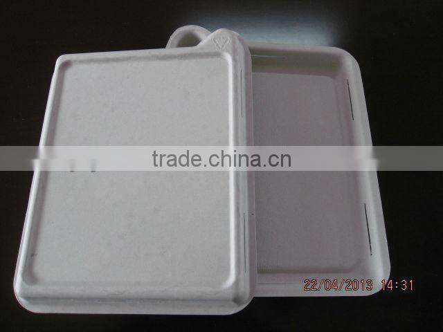 Hot new eco-friendly recycled material YPX818 Molded Pulp Packs