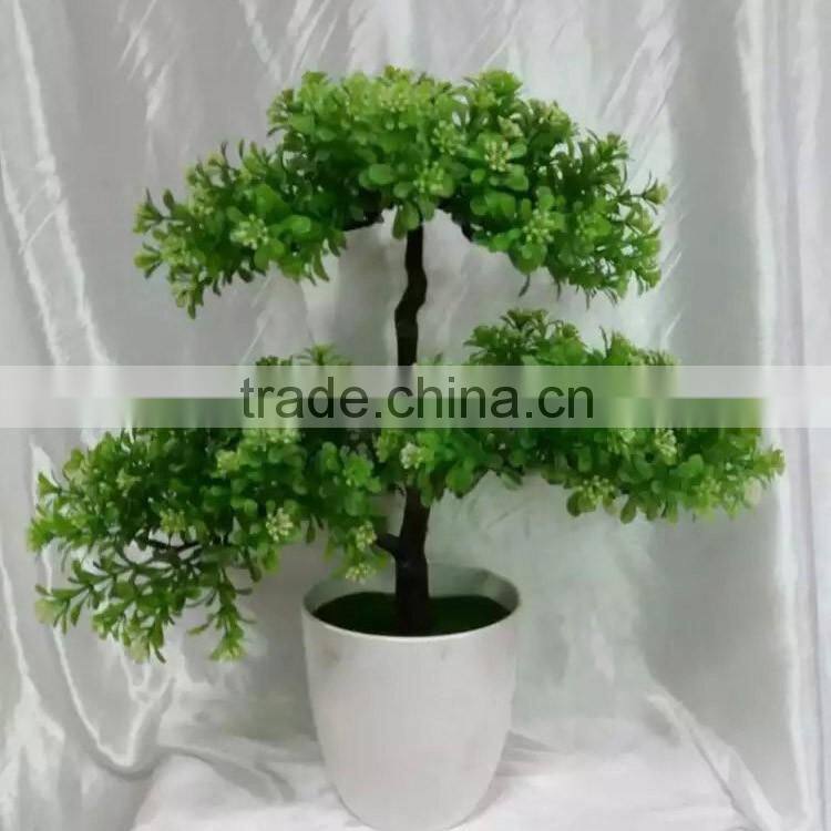 made in China mini home decoration plant with pot for sale