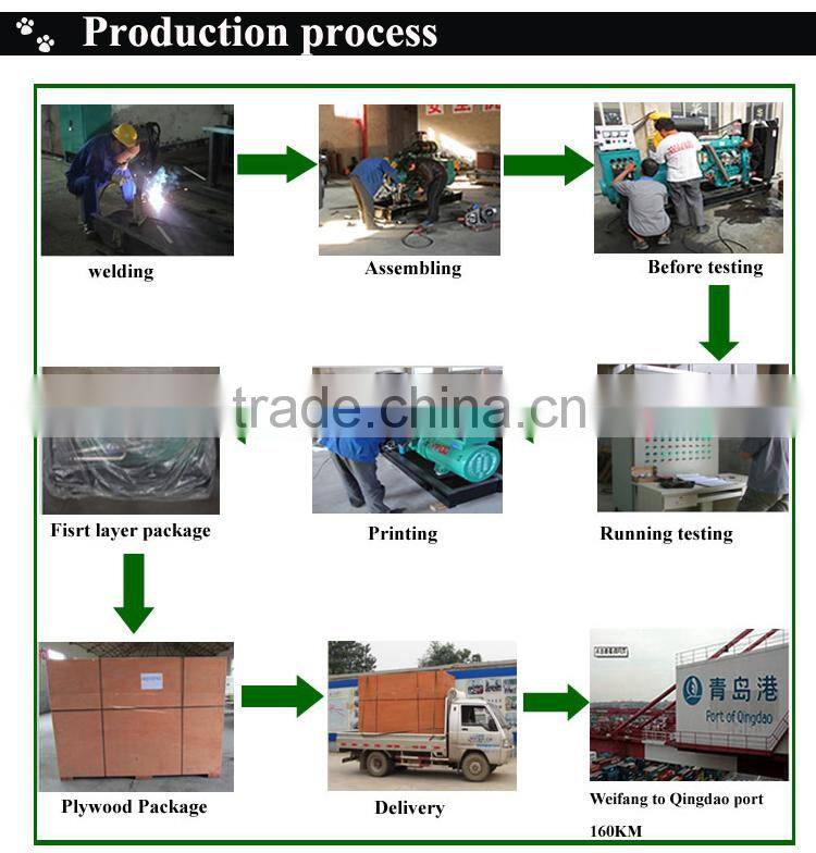 CE Approve small power biogas generator 50kw