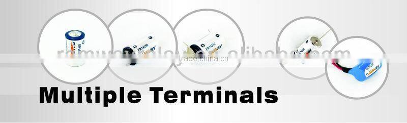 RAMWAY ER14505 Size AA batteries pack