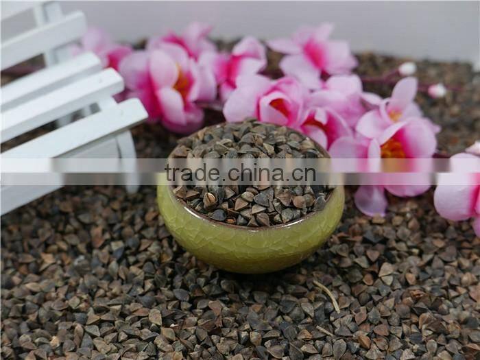 High Quality raw Buckwheat price