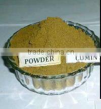 Cumin Powder