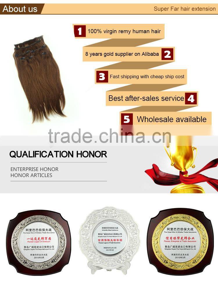 2015 unprocessed wholesale virgin brazilian hair ,clip in hair extensions free sample