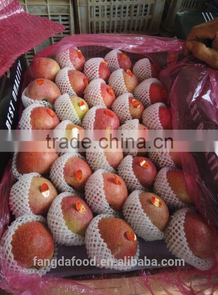 Moutain high red colour qinguan apple