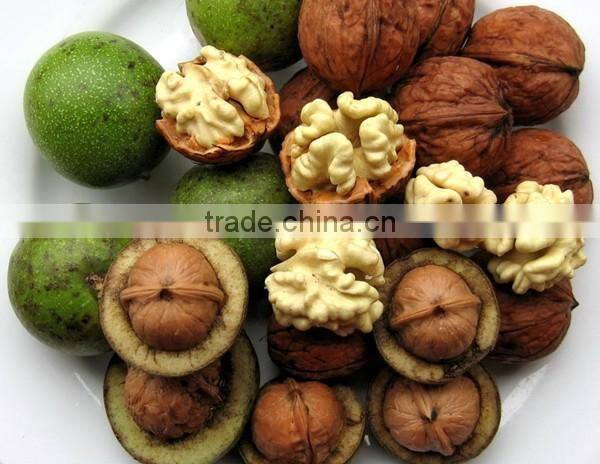 Wholesale Chinese Walnut kernel with marketing price for eating