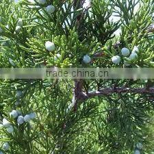 CEDARWOOD TERPENES (CUPARENE)