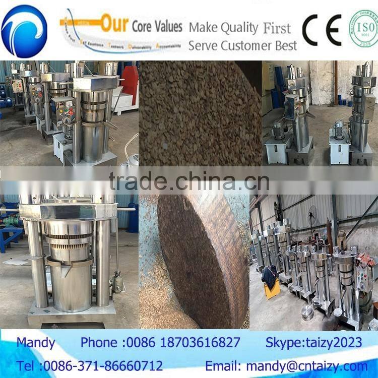 Professional supply home oil extraction machine