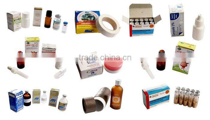 DZH-120P High Efficiency Horizontal Type Automatic Carton Packing Machine for Bottles
