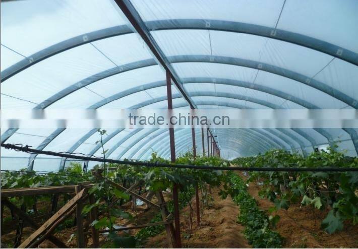high quanlity greenhouse plastic film Low Tunnel Films Greenhouse Roofing